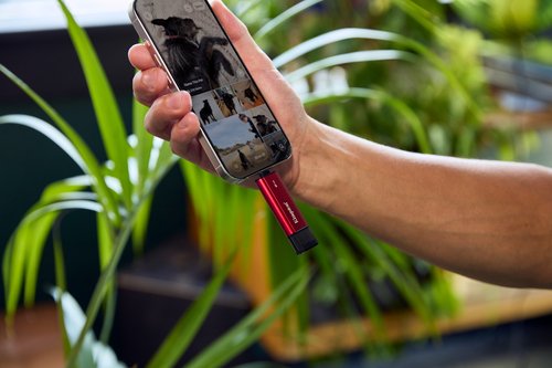 2TB DUAL PORTABLE SSD USB-A/C - Achat / Vente sur grosbill.com - 12