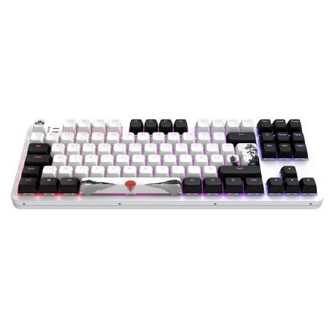Dark Project Fuji 87 V2 - Clavier PC Dark Project - grosbill.com - 8