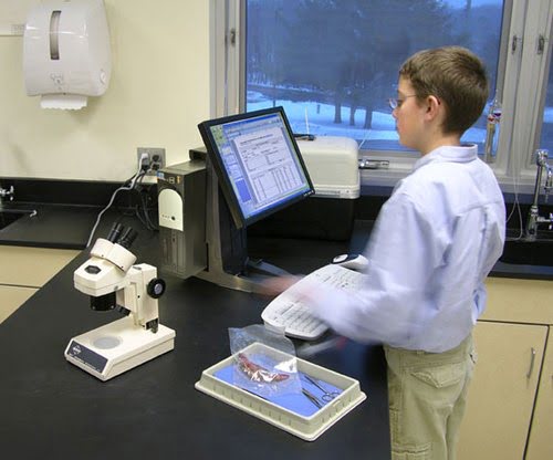 33-338-085/NF All In One SC Lift Stand - Achat / Vente sur grosbill.com - 3