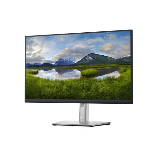 DELL 24 pouces  DELL-P2422H - Ecran PC DELL - grosbill.com - 1