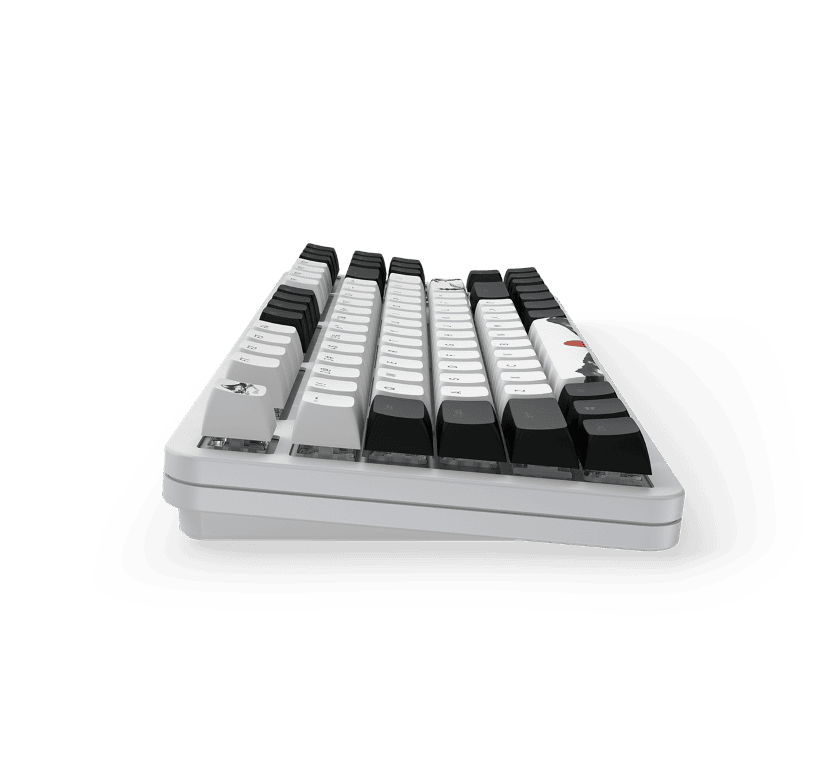 Dark Project Fuji 87 - Clavier PC Dark Project - grosbill.com - 6