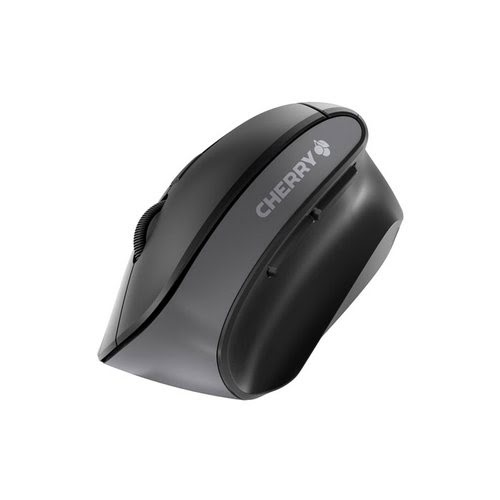 Cherry MW 4500 - Souris PC Cherry - grosbill.com - 3