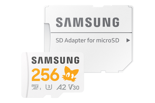 Samsung Sonic PRO Plus - Micro SDXC 256Go V30 - Carte mémoire - 2