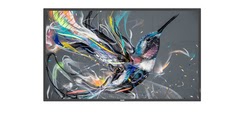 Affichage dynamique Philips Grosbill