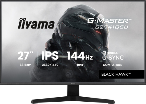 Ecran PC Iiyama Grosbill