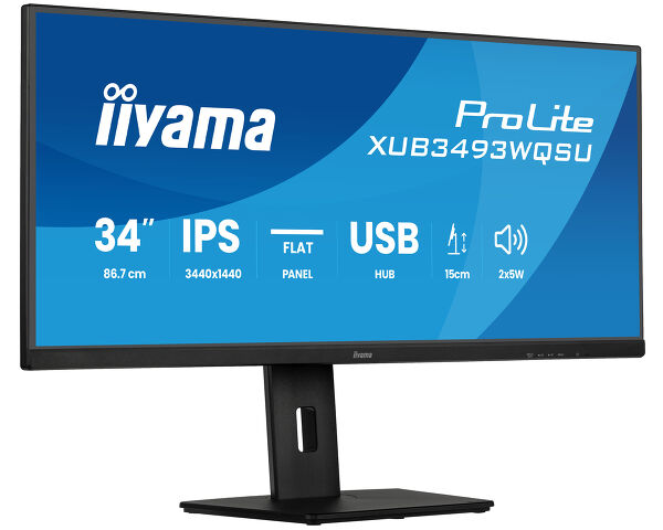 Ecran PC Iiyama Grosbill