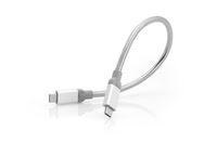 USB 3.1 Type-C to Type-C Cable 30cm - Achat / Vente sur grosbill.com - 3