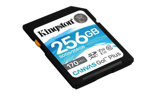 256GB SDXC Canvas170R C10 UHS-I U3 V30 - Achat / Vente sur grosbill.com - 1