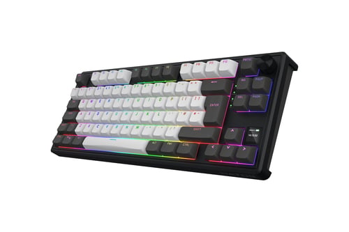 Hator Skyfall 80 Pro Wireless - Clavier PC Hator - grosbill.com - 2