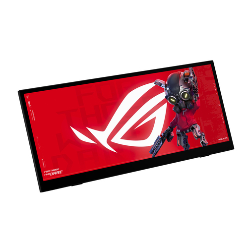 Asus 12.3 pouces  90LM0CA0-B01N71 - Ecran PC Asus - grosbill.com - 1