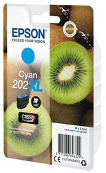 Consommable imprimante Epson Grosbill