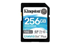 Carte mémoire Kingston Grosbill