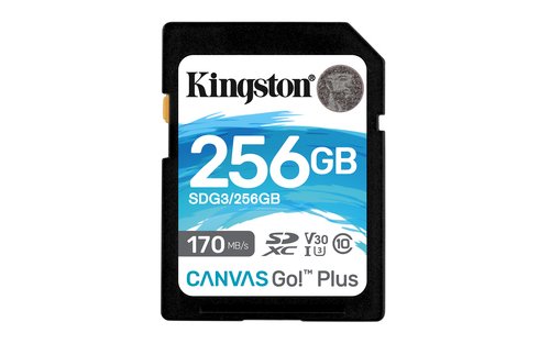 256GB SDXC Canvas170R C10 UHS-I U3 V30 - Achat / Vente sur grosbill.com - 0