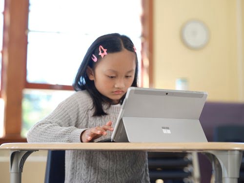 SURFACE GO3 COREI3 - Achat / Vente sur grosbill.com - 31