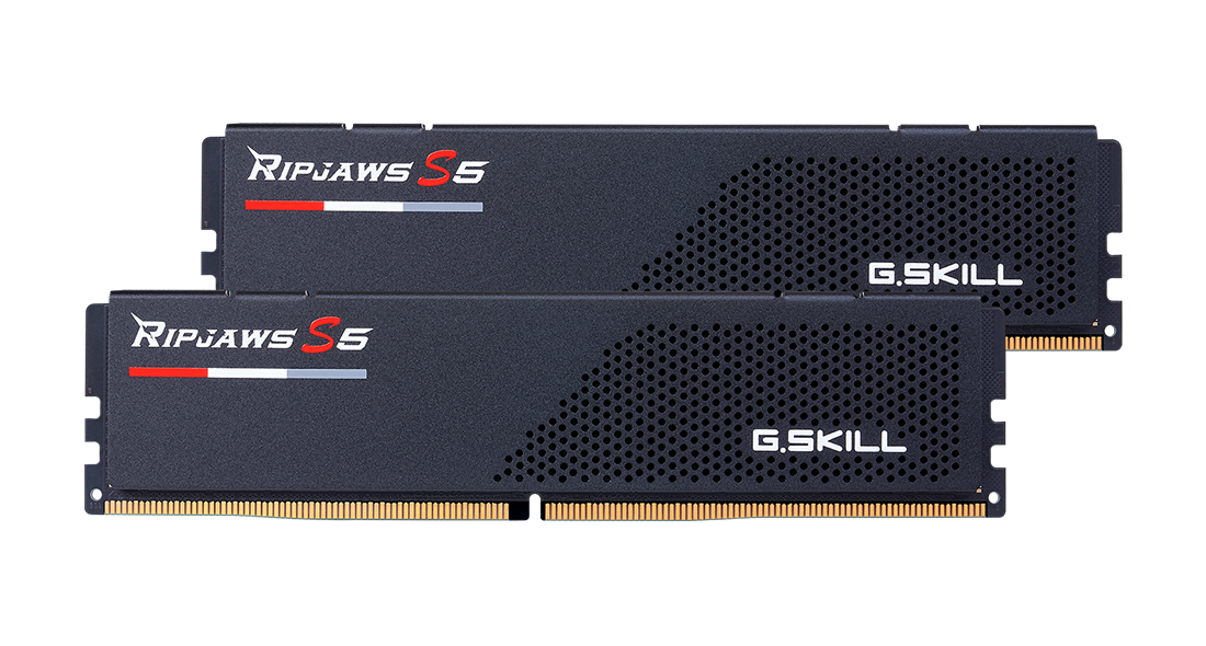 G.Skill F5-5600J4040D48GX2-RS5K (2x48Go DDR5 5600 PC44800)
