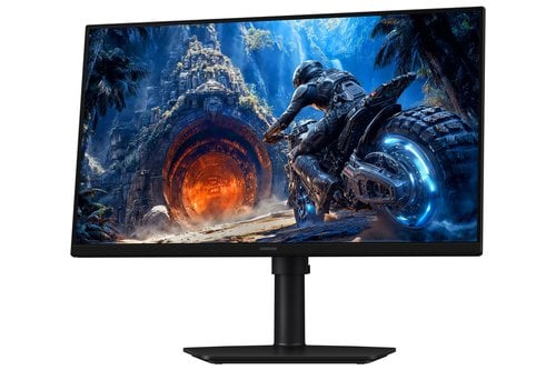 25IN FLAT FHD 1920X1080 300 HZ - Achat / Vente sur grosbill.com - 9