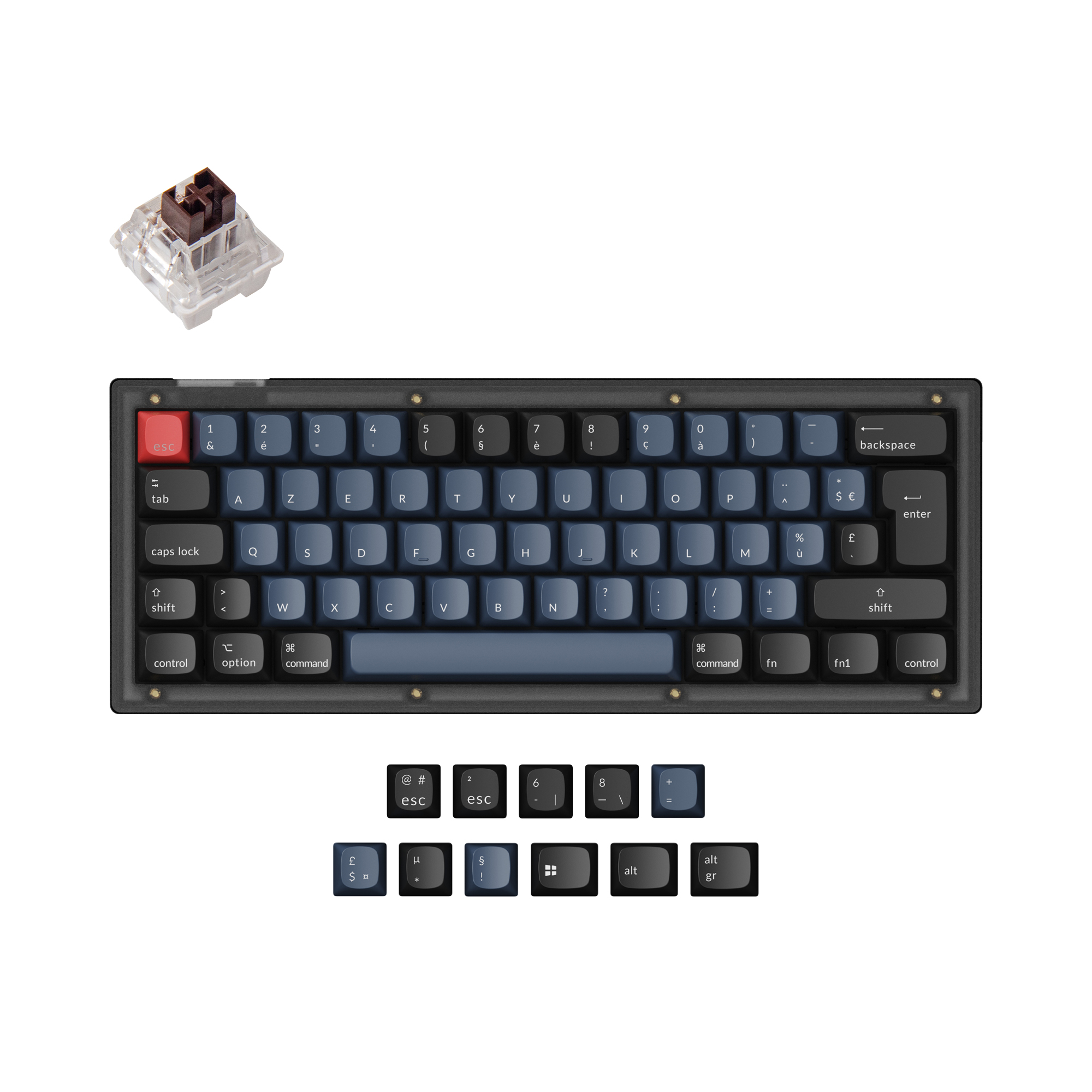 Keychron V4 GMK Knob RGB - Noir/60%/Switch Marron