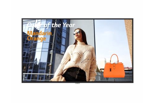 LG LG afficheur professionnel 49\