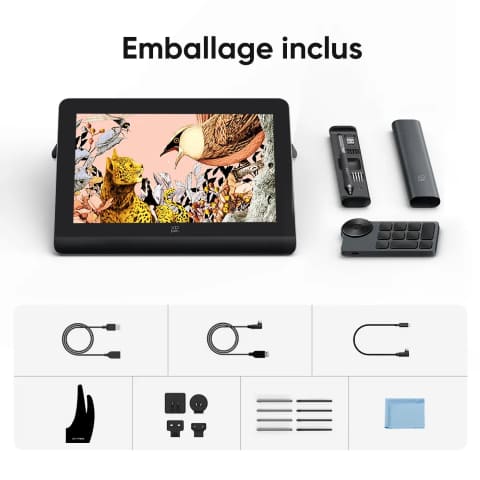 XPPEN Artist Pro 16 Gen 2/5080LPI/16"/Noir - Tablette graphique - 9