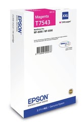 Consommable imprimante Epson Grosbill