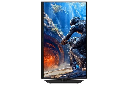 25IN FLAT FHD 1920X1080 300 HZ - Achat / Vente sur grosbill.com - 11