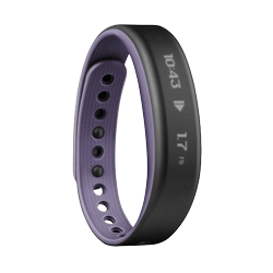 Objet connecté / Domotique Garmin Grosbill