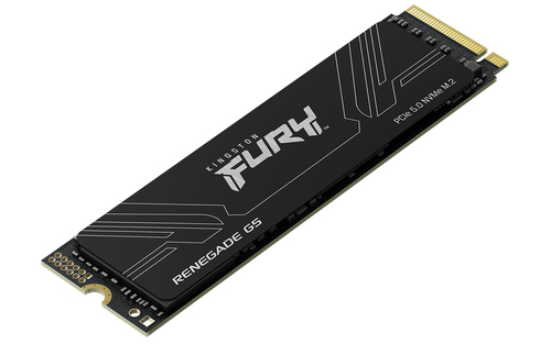 Kingston Fury Renegade G5  M.2 - Disque SSD Kingston - grosbill.com - 1