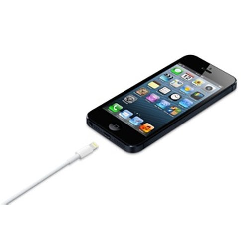 Lightning to USB-cable 0.5 m - Achat / Vente sur grosbill.com - 3