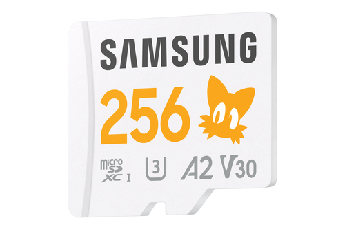 Samsung Sonic PRO Plus - Micro SDXC 256Go V30 - Carte mémoire - 1