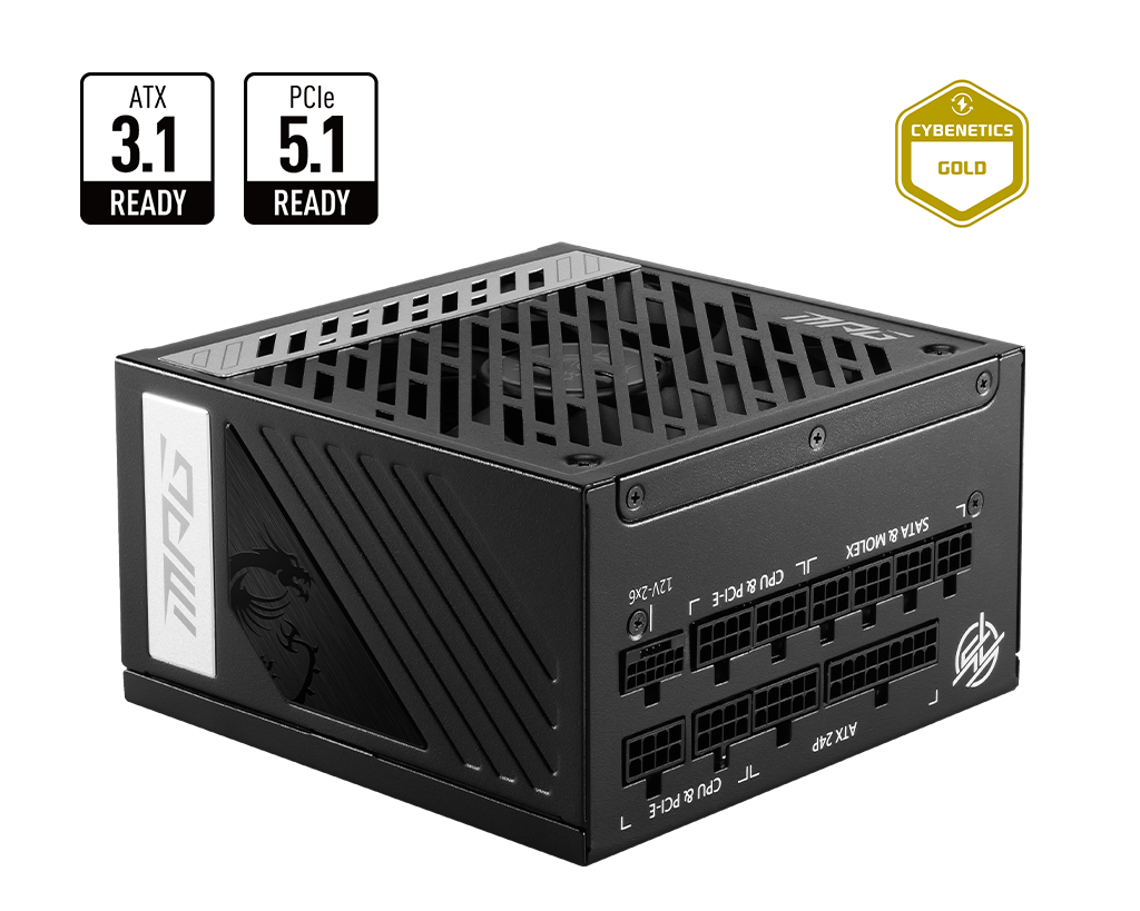 MSI 80+ Gold (850W) - Alimentation MSI - grosbill.com - 0