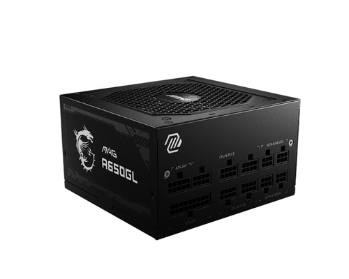 MSI 80+ GOLD (650W) - Alimentation MSI - grosbill.com - 1
