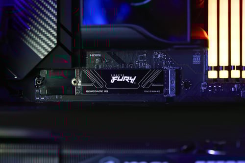 Kingston Fury Renegade G5  M.2 - Disque SSD Kingston - grosbill.com - 7