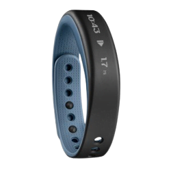 Objet connecté / Domotique Garmin Grosbill