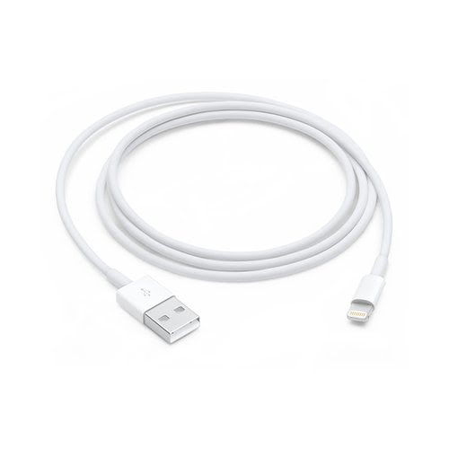 Apple Lightning to USB Cable 1 m