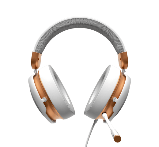 Micro-casque Dark Project Grosbill