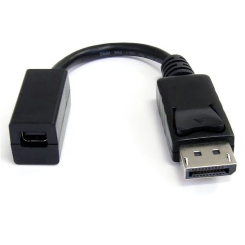 DisplayPort to Mini DisplayPort Adapter - Achat / Vente sur grosbill.com - 0
