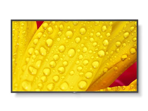 Affichage dynamique NEC Grosbill