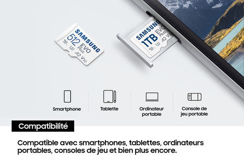Samsung EVO Plus - Micro SD 1To V30 - Carte mémoire Samsung - 5