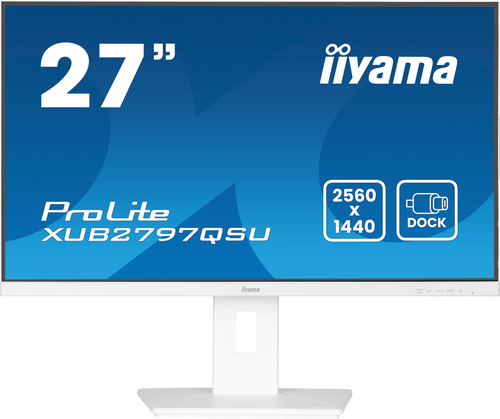 Ecran PC Iiyama Grosbill