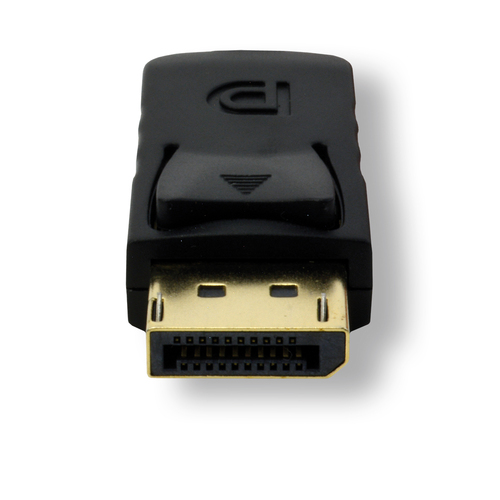 DisplayPort/DVI-D cable - 2m - Achat / Vente sur grosbill.com - 1