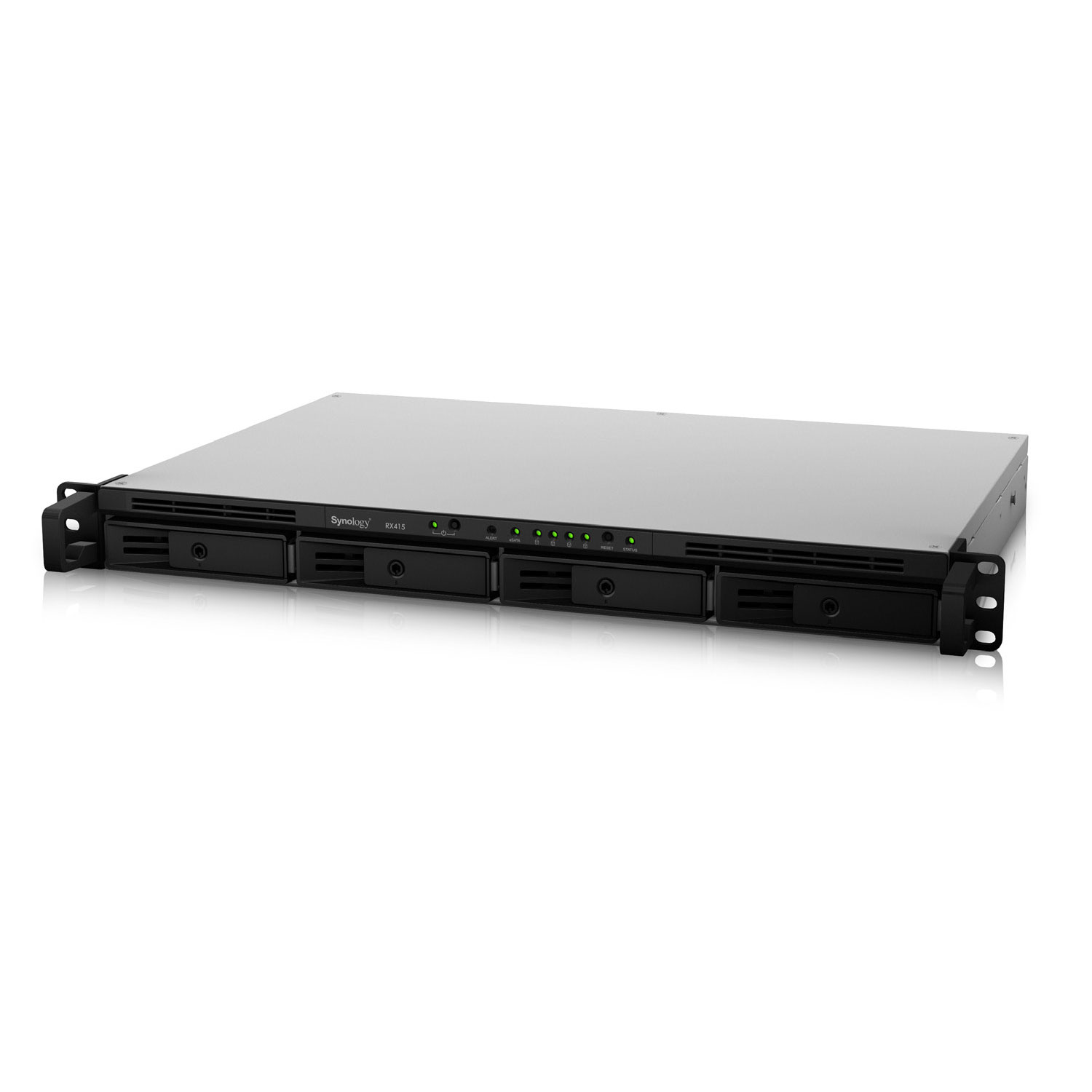 Synology Extension de baie RX415 - 4 HDD/rackable - Serveur NAS - 0