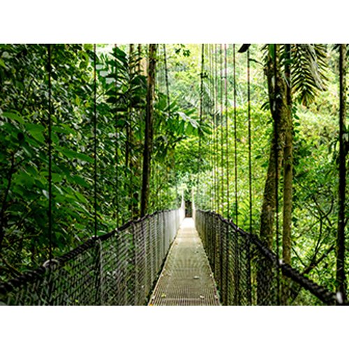 ELITEBOOK 6 G1A AMD RAI5-340 - Achat / Vente sur grosbill.com - 4