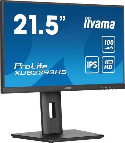 Ecran PC Iiyama Grosbill