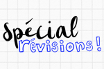 Special-Revision