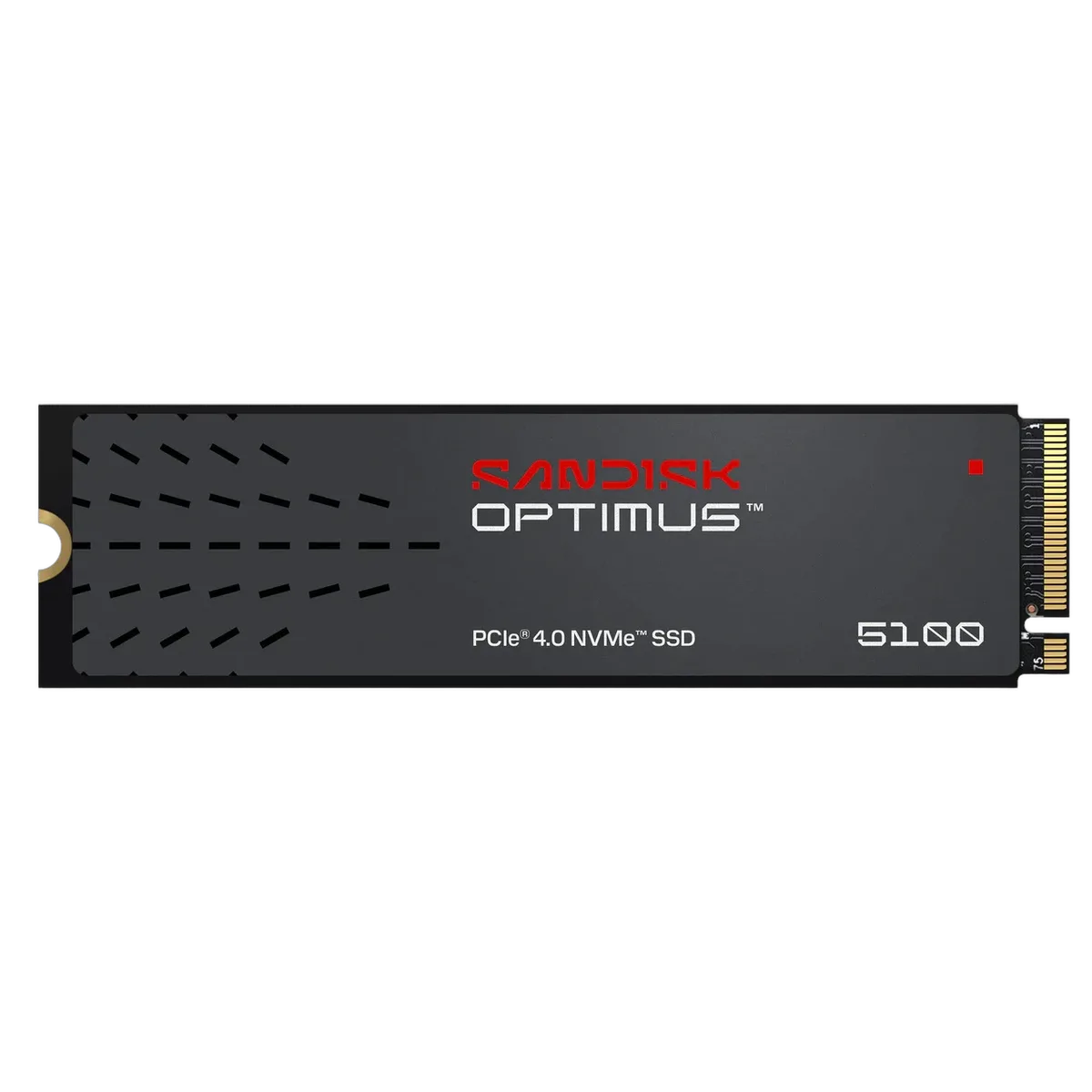 Sandisk Optimus 5100 4To M.2, vue 2