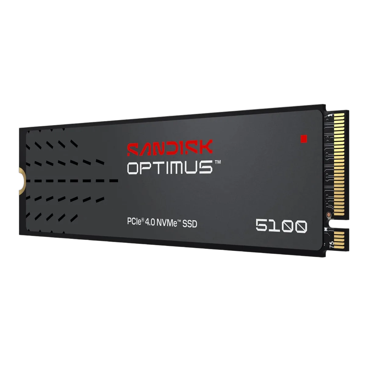 Sandisk Optimus 5100 2To M.2, vue 1