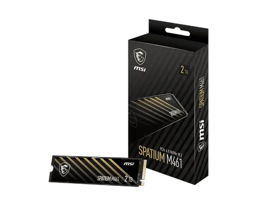 MSI Spatium M461 500Go M.2