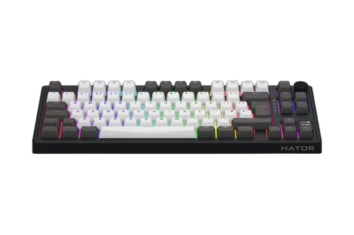 Skyfall 80 Pro TKL - Mécanique/Sans-Fil/RGB/Gris