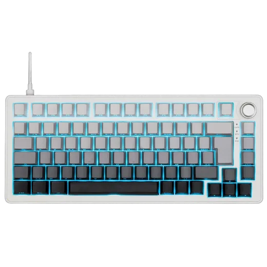 KEYZ ELITE 300 HE GRW 75%-Magnétique/Filaire/RGB