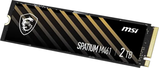 MSI SPATIUM M461 2To M.2